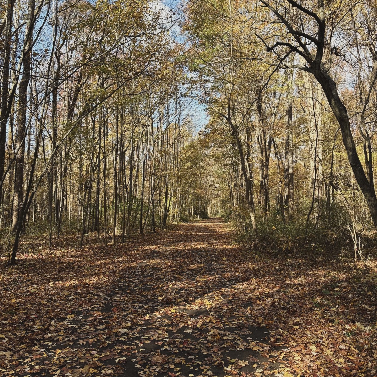 Photo taken in Mantua, VA, United States