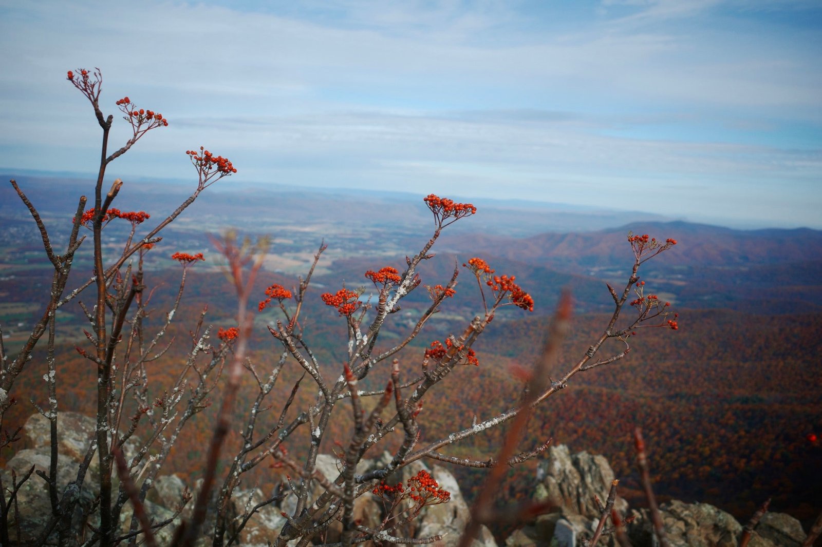 Stony Man Mountain Summit